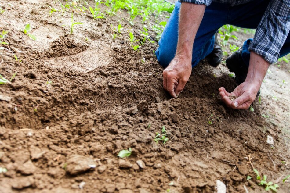 How to Dispose of Soil in the UK Ways of