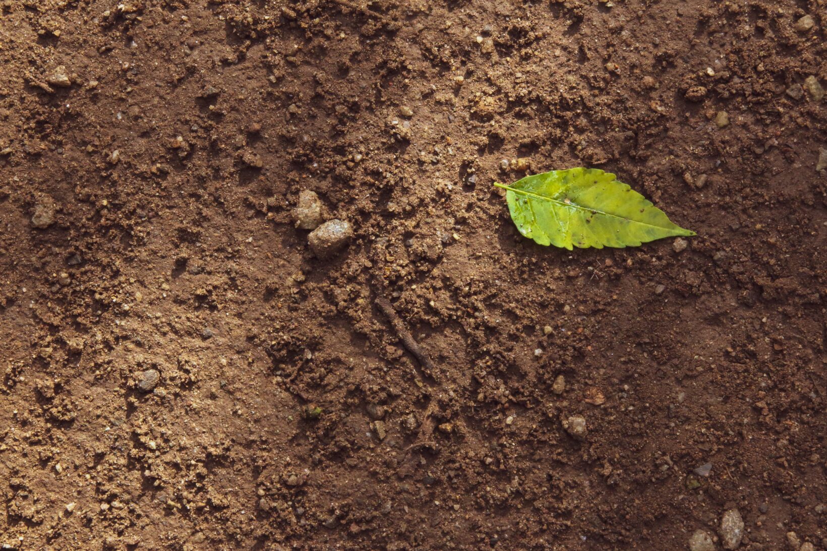 How to Dispose of Soil in the UK Ways of