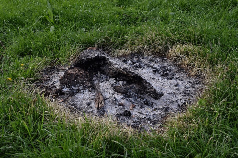 campfire ashes.