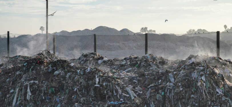 landfill site with seagulls flying over.