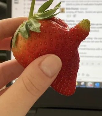 britains rudest veg competition